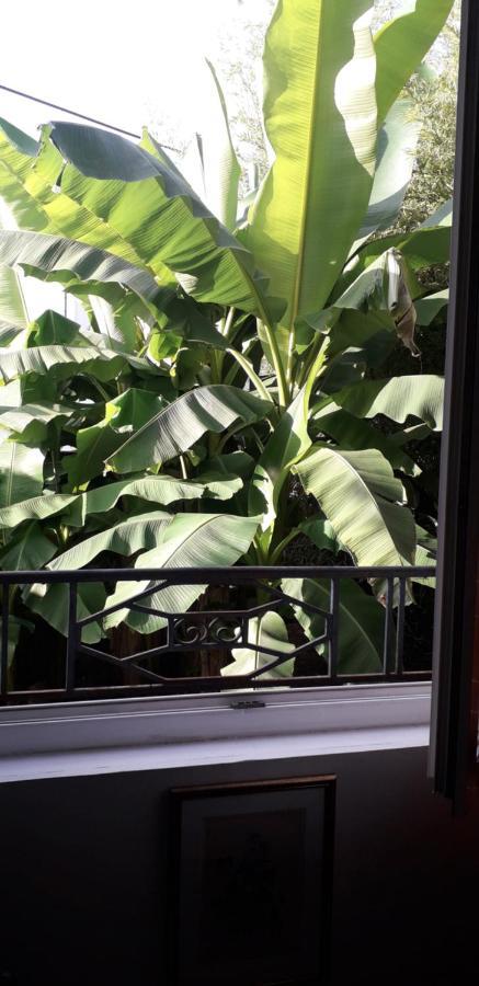 佩里格Cote Jardin住宿加早餐旅馆 外观 照片